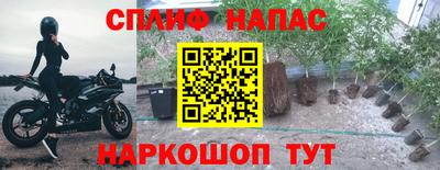 амф Нальчик