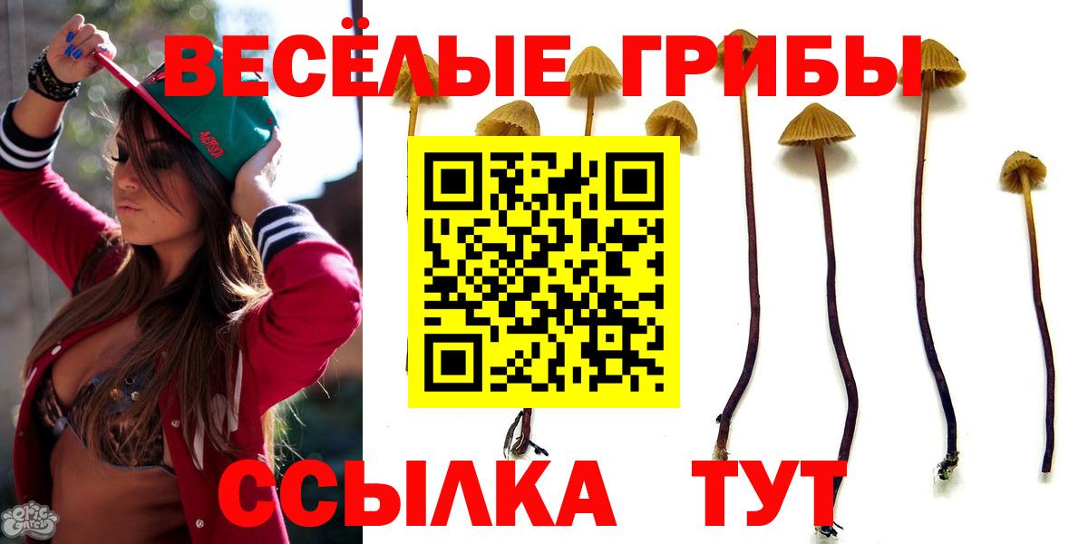 Псилоцибиновые грибы MAGIC MUSHROOMS Тамбов