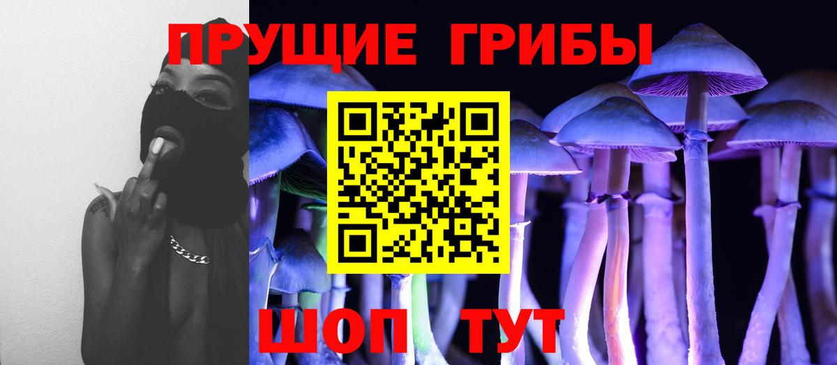 Псилоцибиновые грибы Cubensis  Вход с VPN  Псилоцибиновые грибы Psilocybine cubensis  Тамбов 