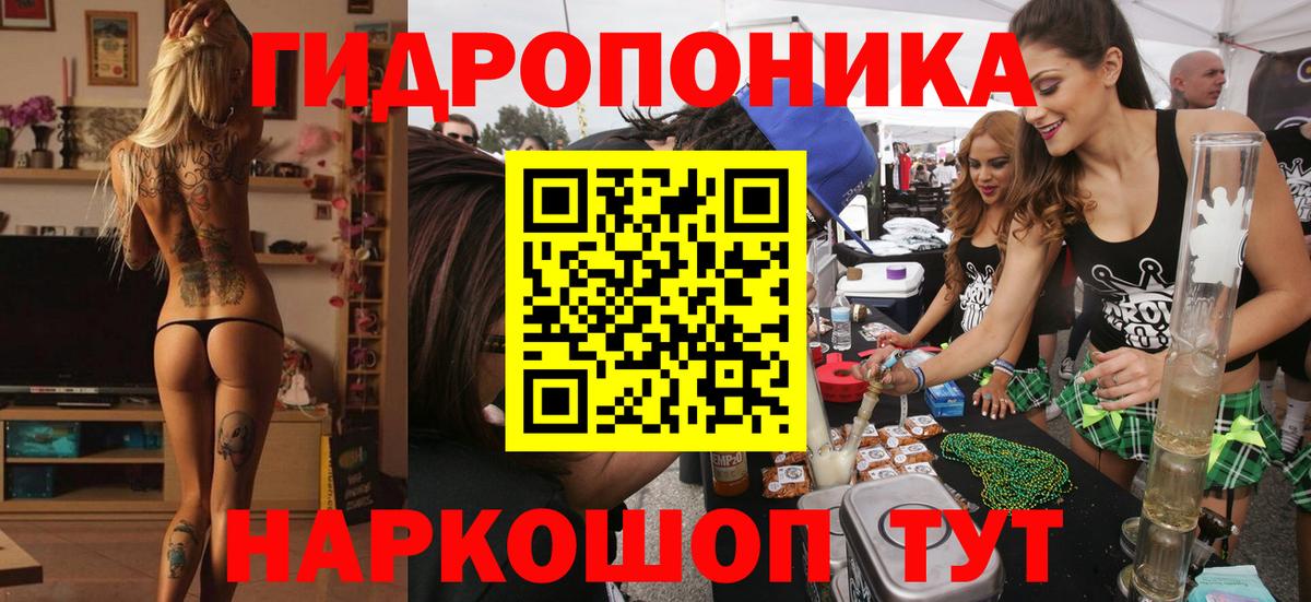 Каннабис конопля Тамбов